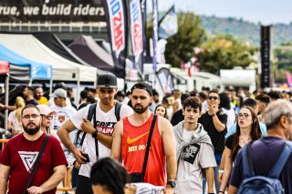 Paddock
