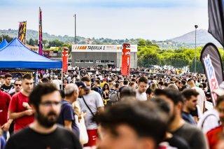 Paddock
