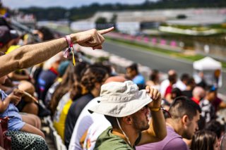 Paddock

