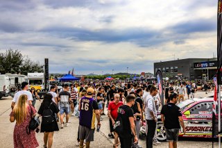 Paddock
