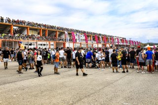 Paddock
