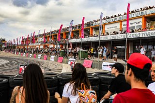 Paddock

