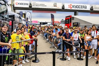 Paddock
