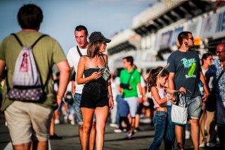 Pitwalk
