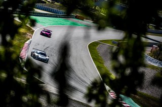 #51 Iron Lynx - Giancarlo FISICHELLA - Miguel MOLINA - Nicklas NIELSEN - Ferrari 488 GT3 - Pro, FGTWC, Pre-Qualifying
