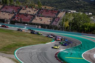 Race, Start
