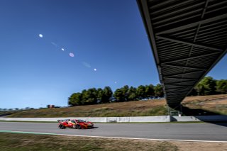 #21 AF Corse - Hugo DELACOUR - Cedric SBIRRAZZUOLI - Alessandro BALZAN - Ferrari 488 GT3 - Gold Cup, Race, Start
