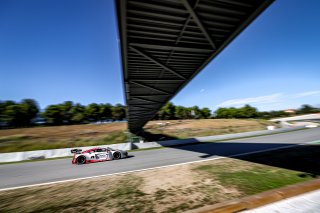 #11 Tresor by Car Collection - Thierry VERMEULEN - Lorenzo PATRESE - Hugo VALENTE - Audi R8 LMS evo II GT3 - Silver Cup, Race, Start
