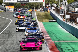 #83 Iron Dames - Rahel FREY - Sarah BOVY - Michelle GATTING - Ferrari 488 GT3 - Gold Cup, Race
