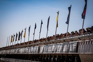 Ambiance, Race
