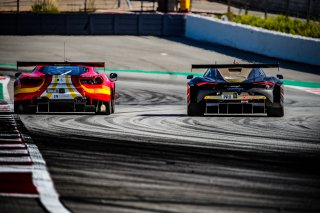 Race
