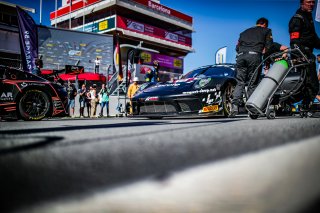 Grid Walk, Race
