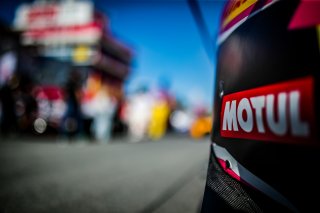 Grid Walk, Race
