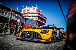 #87 AKKODIS ASP Team - Casper STEVENSON - Tommaso MOSCA - Thomas DROUET - Mercedes-AMG GT3 - Silver Cup, FGTWC, Grid Walk, Race
