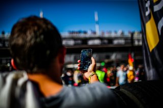 Grid Walk, Race
