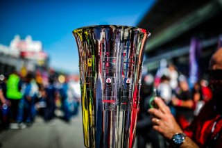 Grid Walk, Race
