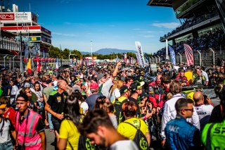 Grid Walk, Race
