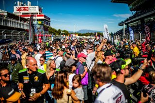 Grid Walk, Race
