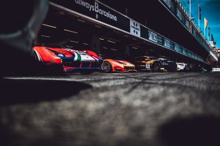 Paddock, Set Up
