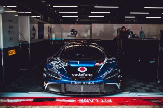 Paddock, Set Up
