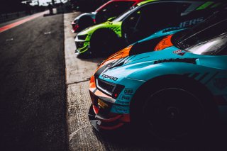 Paddock, Set Up
