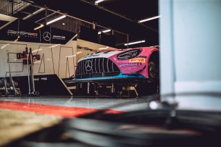 Paddock, Set Up
