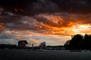 Trackwalk
