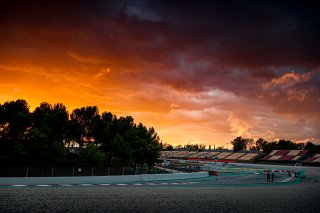 Trackwalk
