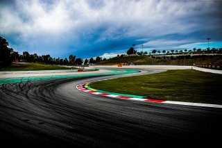 Trackwalk
