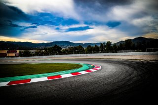 Trackwalk
