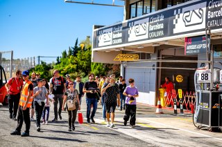 Pitwalk
