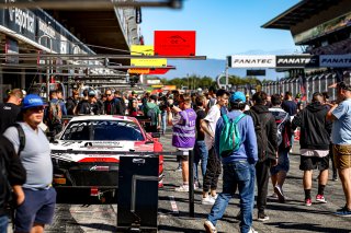 Pitwalk
