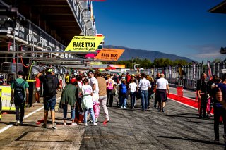 Pitwalk
