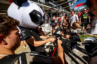Pitwalk
