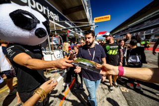 Pitwalk
