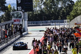 Pitwalk
