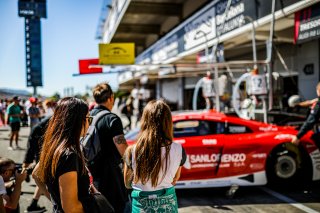 Pitwalk
