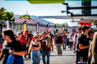 Pitwalk
