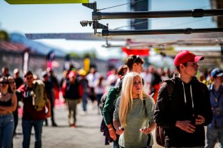 Pitwalk
