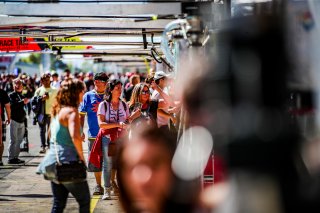 Pitwalk
