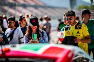 Pitwalk
