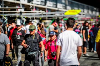 Pitwalk
