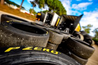Paddock
