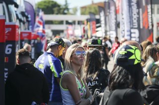 Paddock
