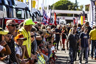 Paddock
