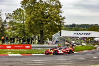 #31 - Team WRT - Thomas NEUBAUER - Jean Baptiste SIMMENAUER - BMW M4 GT3 - PRO, Pre-Qualifying
