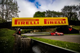#71 - AF Corse - Sean HUDSPETH - Nicola MARINANGELI - Ferrari 488 GT3 - SILVER, FGTWC, Qualifying
