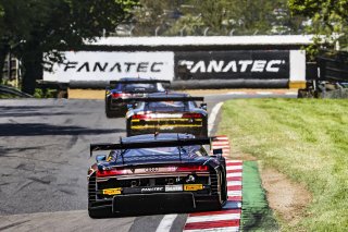 #99 - Tresor Attempto Racing - Alex AKA - Lorenzo PATRESE - Audi R8 LMS GT3 EVO II - SILVER, Race 1
