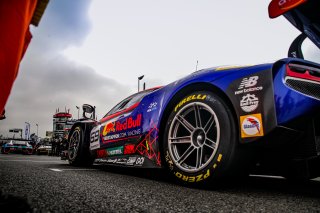 #69 - Emil Frey Racing - Albert COSTA - Thierry VERMEULEN - Ferrari 296 GT3 - PRO, FGTWC, Grid Walk, Race 1

