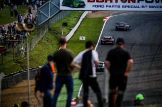 Ambiance, Race 2
